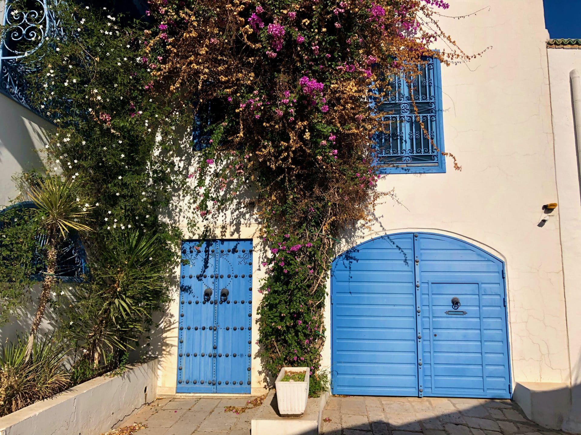 Blomsterprakt i Sidi Bou Said