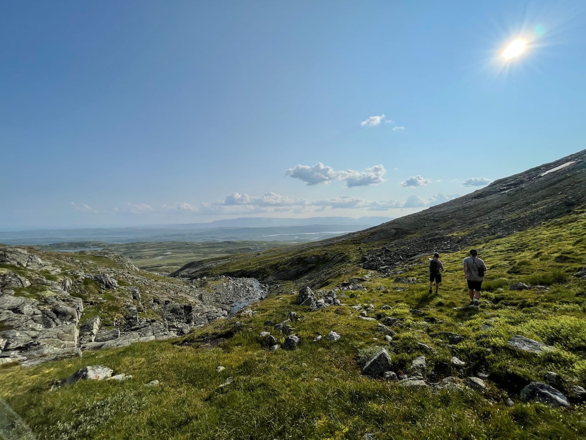 Ål i Hallingdal