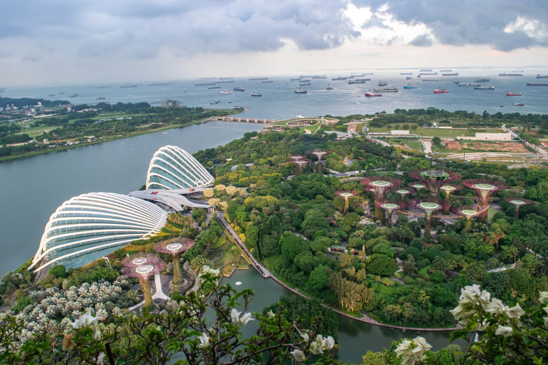 Gardens by the Bay-utsikt fra Marina Bay Sands-rommet - En naturopplevelse i luksuriøse omgivelser
