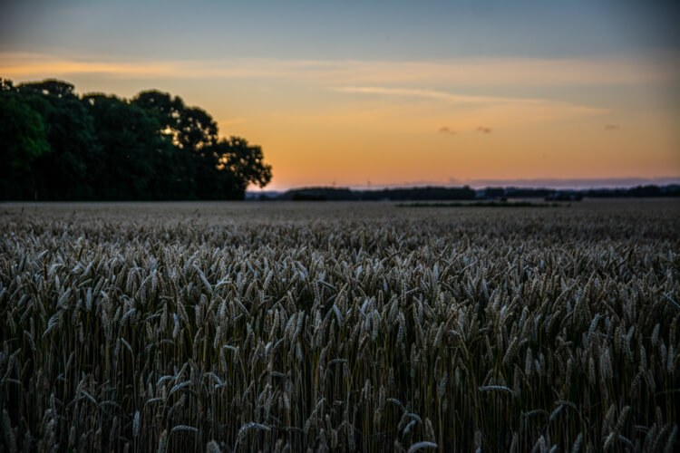 hjarnoe-solnedgang