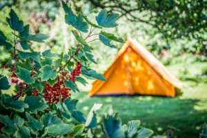 Dansk Camping Union satser på stærk sæson 2022