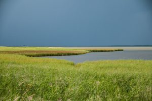 Albuen v/ Nakskov Fjord