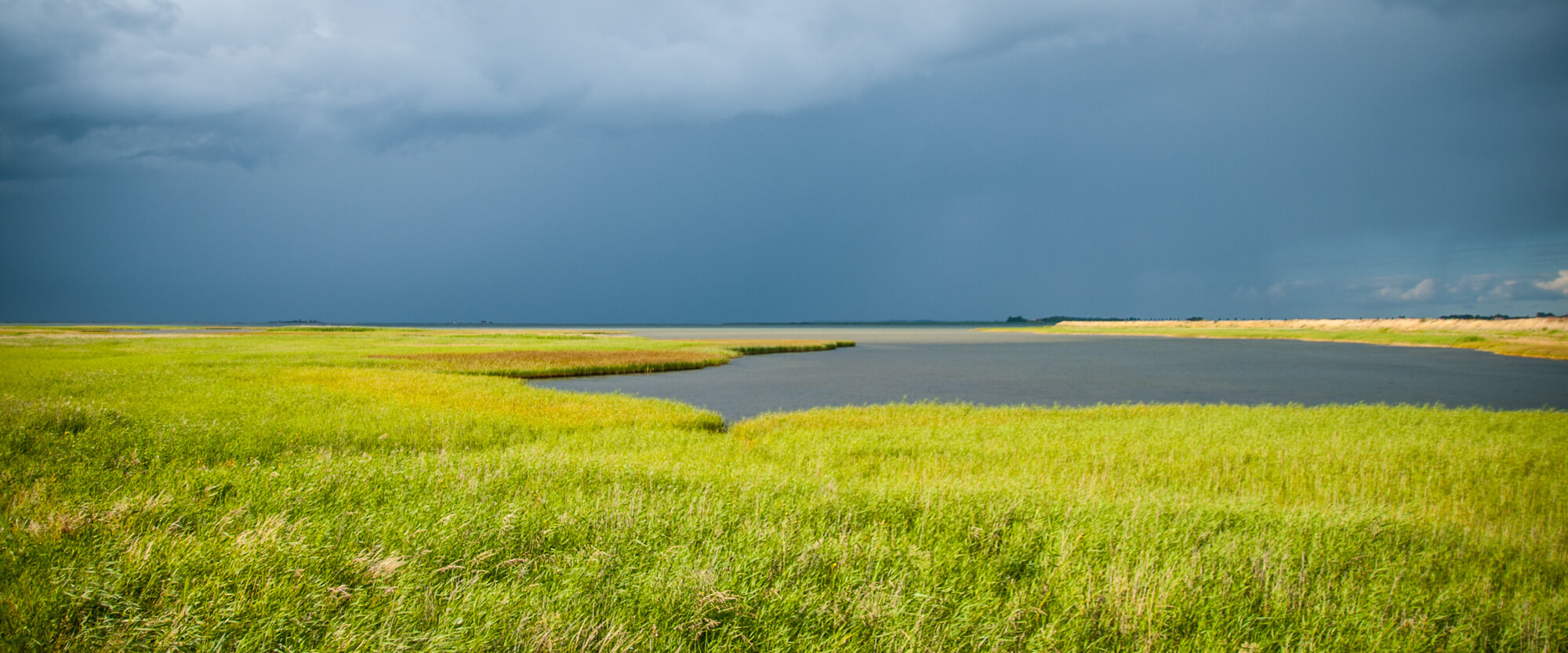 albuen-naturpark-nakskov-fjord