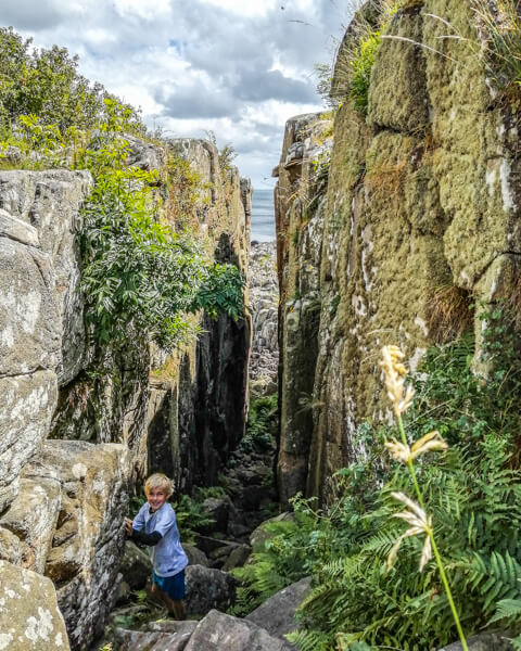 randkloeve-skaar-bornholm