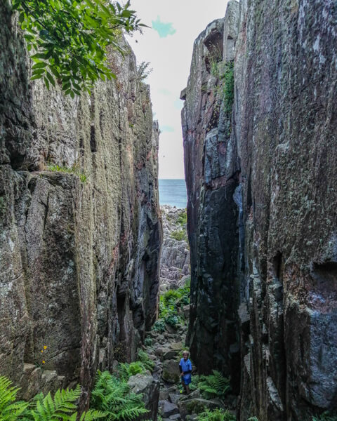 randkloeve-skaar-bornholm