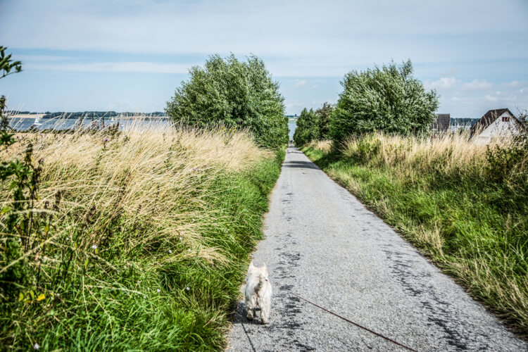 lyoe-vejen-stranden