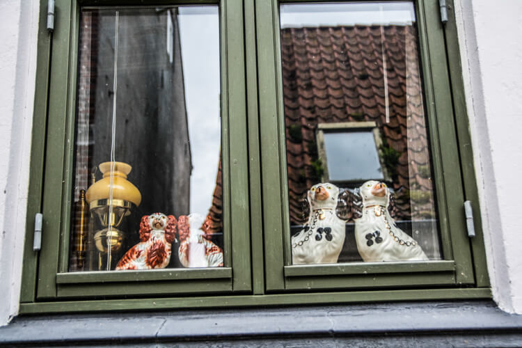 aeroe-tradition-hunde