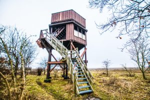 Fugletårnet ved Nyord Enge