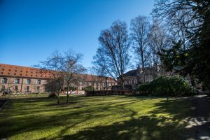 Det Kongelige Biblioteks Have