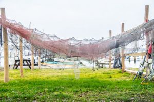 Gambøt – Thunø Lystbådehavn