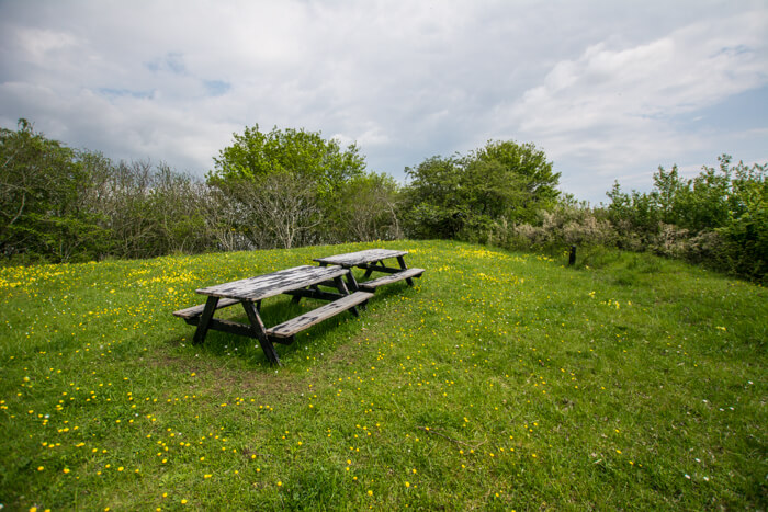 eskilsoe-picnic