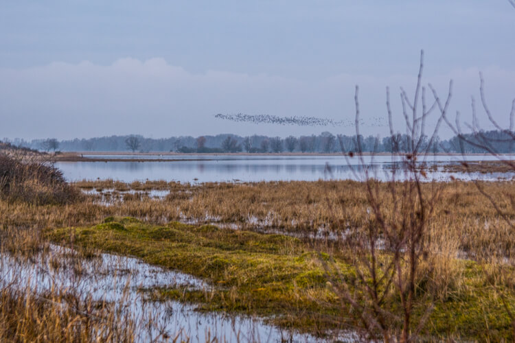 kalvebod-f-lled-p-amager
