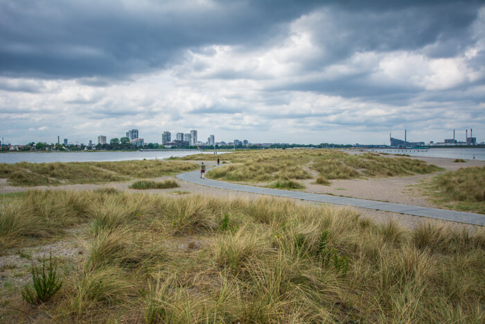 amager-strandpark-gangsti