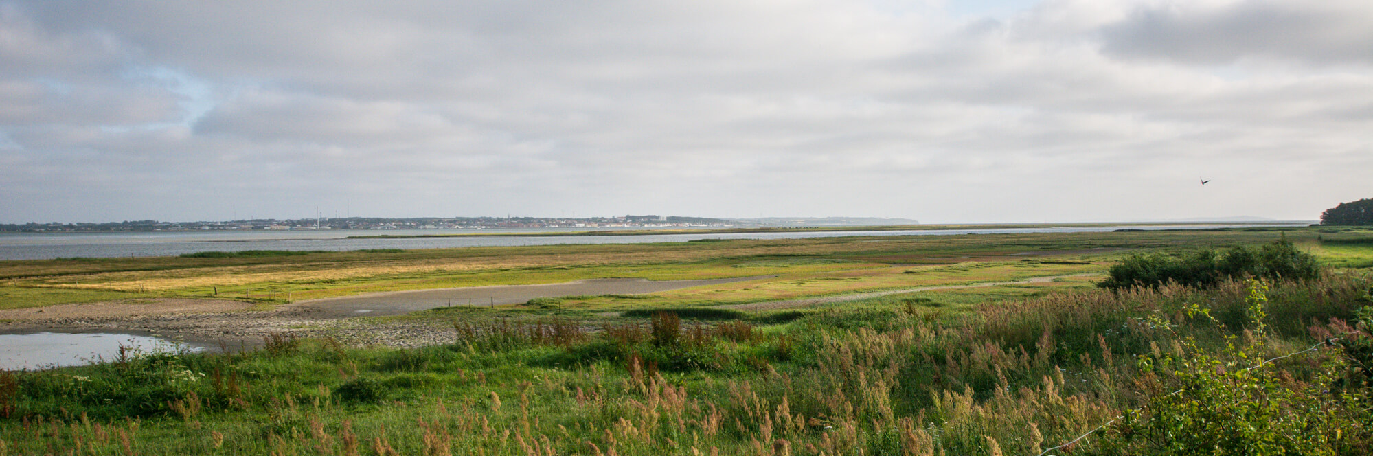 borreholm