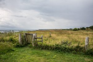 Danmarks nye Biodiversitetsråd