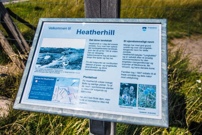 heatherhill-moraene-bakker