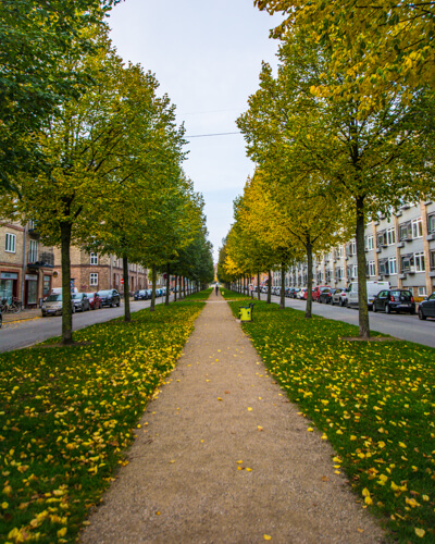 Hestebetvingeren-Bavnehoej-Allé-sydhavnen