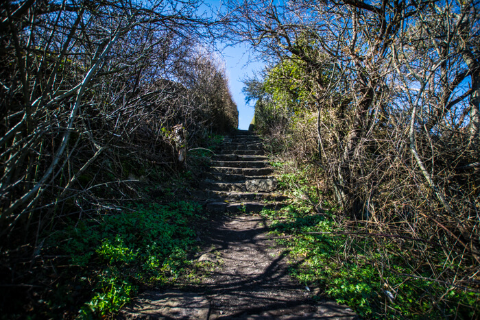 moellers-trappe-bornholm