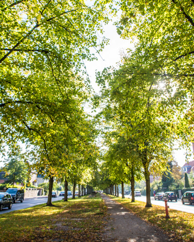 dalgas-boulevard-frederiksberg