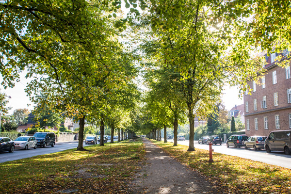 dalgas-boulevard-frederiksberg