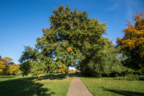 oeregaardparken-hellerup