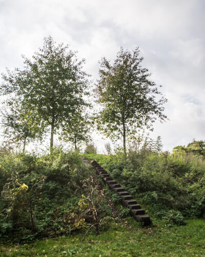 valbyparken-naturlegepladsen