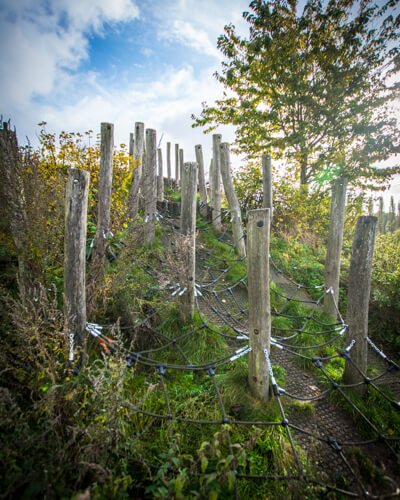 valbyparken-naturlegepladsen