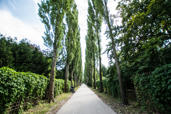 assistens-kirkegaard-noerrebro