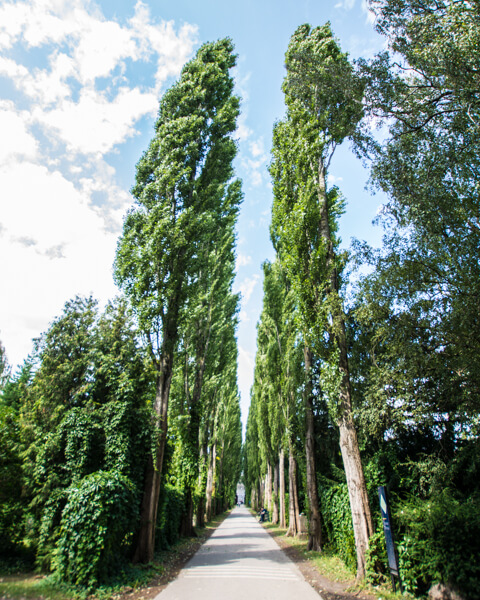 assistens-kirkegaard-noerrebro