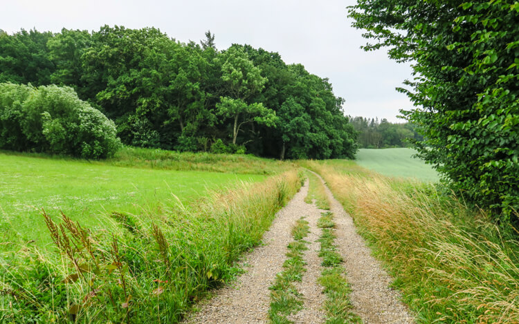 mols-bjerge-nationalpark