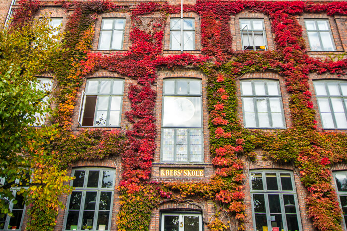 krebs-skole-koebenhavn