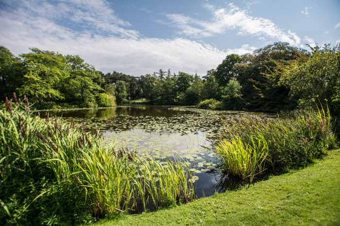 botanisk-have-soe