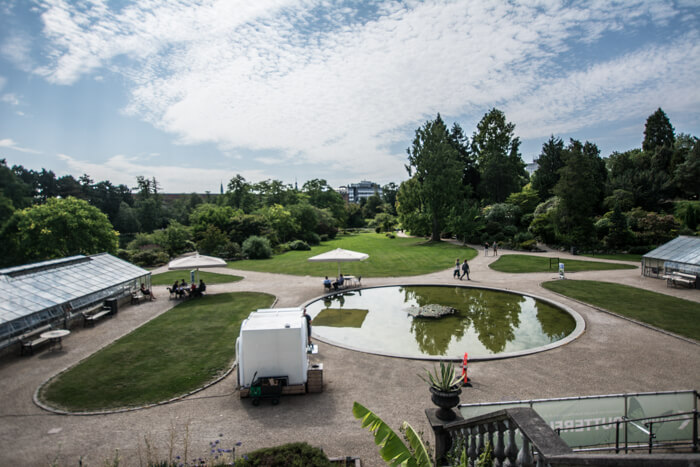 botanisk-have-fra-palmehuset