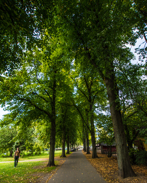 den-groenne-cykelrute-noerrebroparken