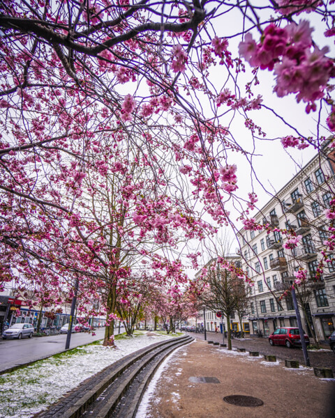 halmtorvet-vesterbro-koebenhavn