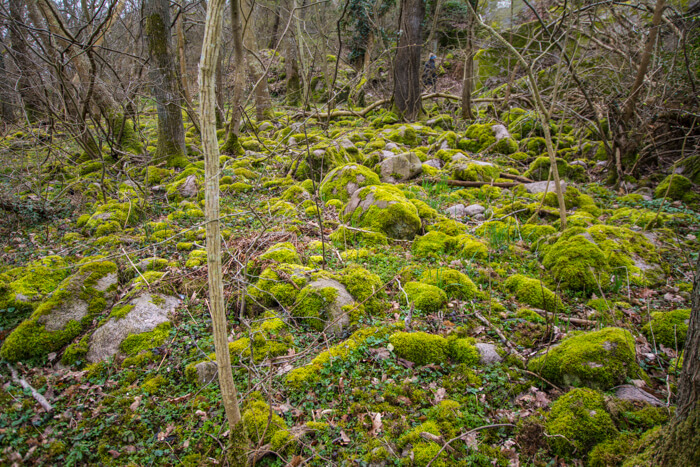 troldskoven-gudhjem-bornholm