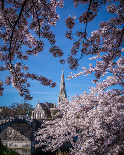 st-albins-church-set-fra-langlinie-park