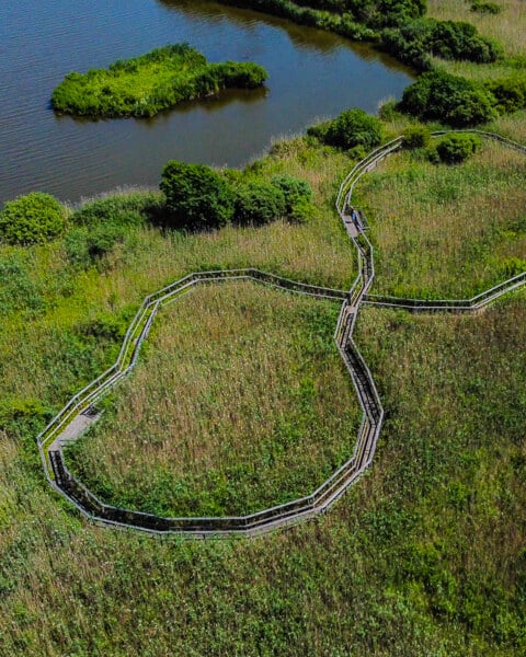 Roerskovslabyrinten-plankebroen-Gundsoemagle-Soe