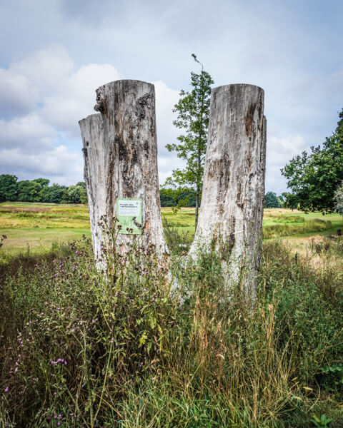 damhussoeen-damhusengen