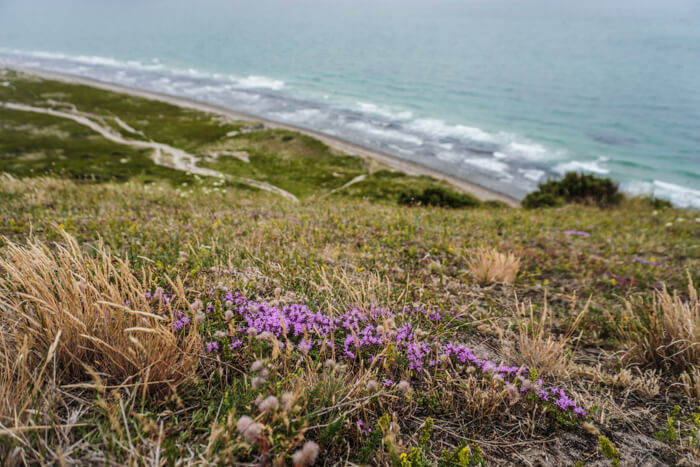 soenderstrand-soenderbjerg-anholt