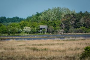 Naturreservatet Saksfjed-Hyllekrog