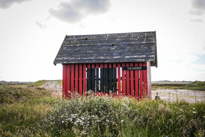 hornsbjerge-sydjylland-vestjylland