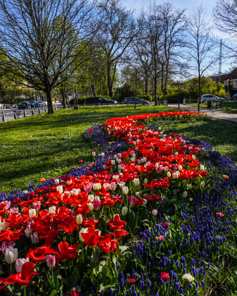 Georg-Carstensens-Plads-frederiksberg