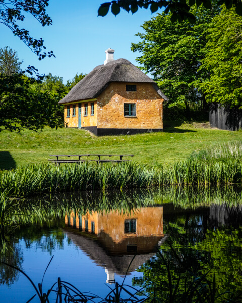 Naturomraadet-ved-oernbjerg-Moelle