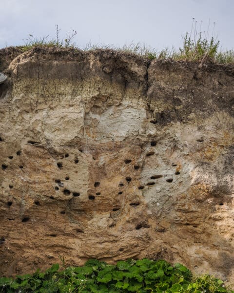 gedser-odde-danmarks-sydligste-punkt