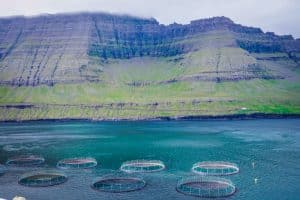 Fiskeri & Havbrug på Færøerne