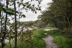 Høve Skov & Strand