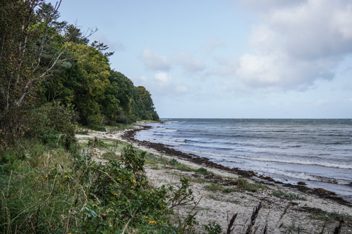 hoeve-skov-strand