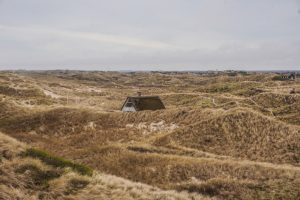 Klitterne ved Vesterhavet