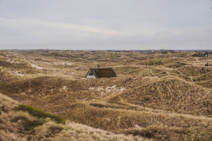 klitterne-vesterhavet